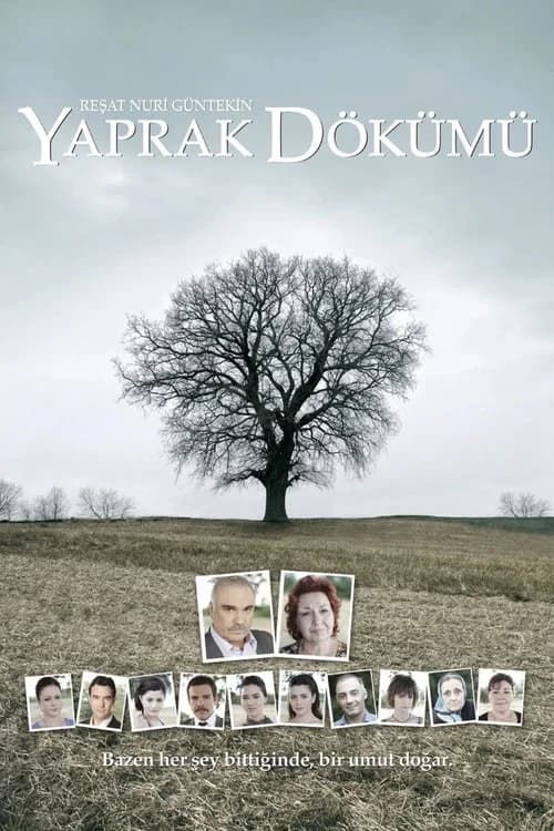 Yaprak Dökümü posteri