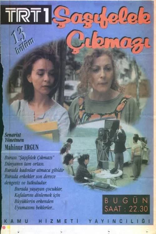 Şaşıfelek Çıkmazı posteri