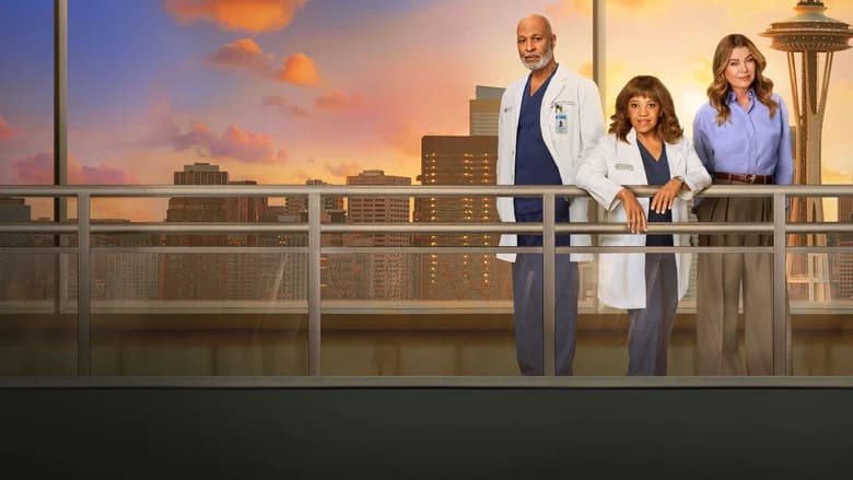 Grey's Anatomy sahnesi 6