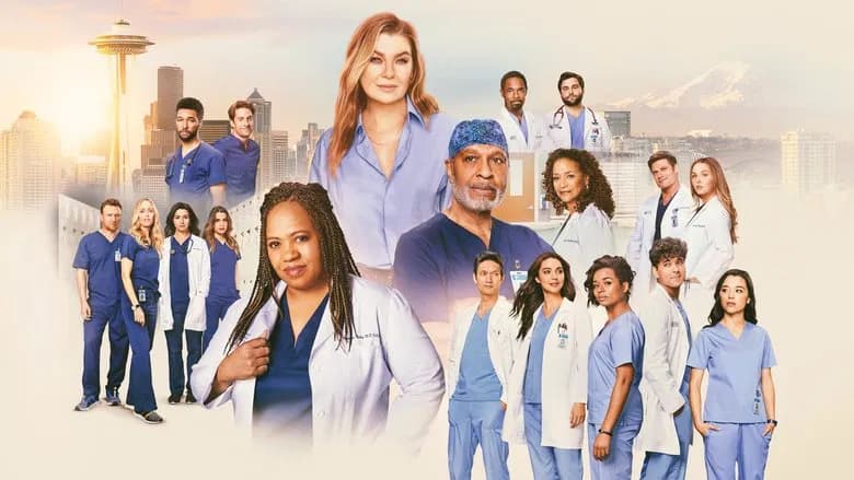 Grey's Anatomy sahnesi 3