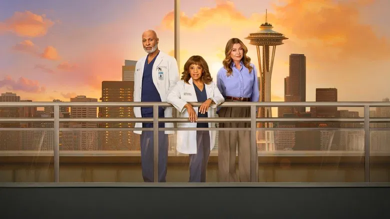Grey's Anatomy sahnesi 5