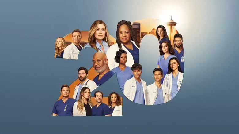 Grey's Anatomy sahnesi 4