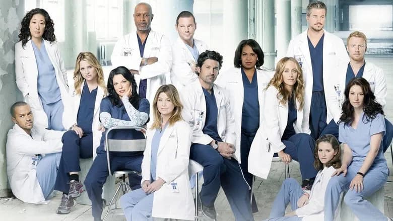 Grey's Anatomy sahnesi 2