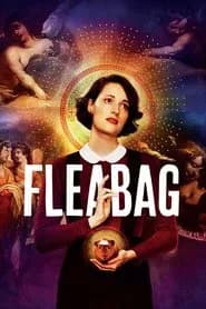 Fleabag posteri